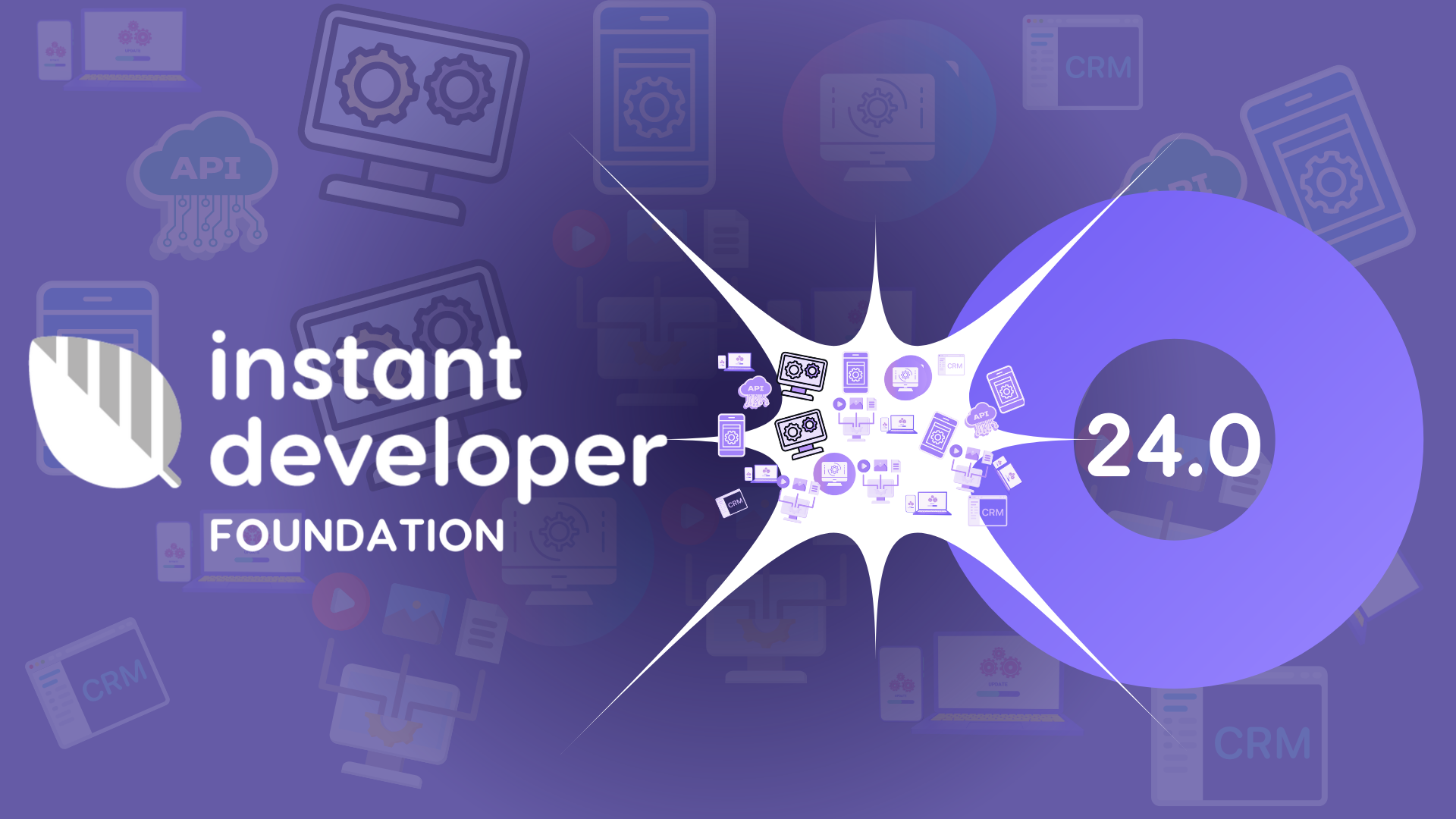 Instant Developer Foundation 24.0